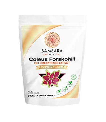 Coleus Forskohlii Root Extract Powder (4oz/114g) 20:1 Concentration - Non - GMO, Weight Loss, Respiratory, Energy, Circulation, Digestion