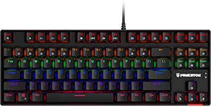 Punkston TK87 Mechanical Gaming Keyboard, RGB Rainbow LED Backlit TKL 87 Keys Anti-Ghosting PC Gaming Wired Keyboard for Windows/Mac (Red Switch)