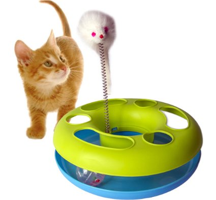 GPET Catch the Mouse Motion Cat Toy, 10 Inch