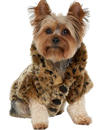 Tzou Dog Jacket Luxury Leopard