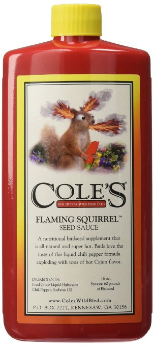 Cole's FS16 Flaming Squirrel Seed Sauce, 16-Ounce