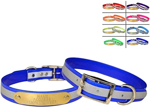 Warner Reflective Dayglo Dog Collar Free Engraved Brass ID tag USA