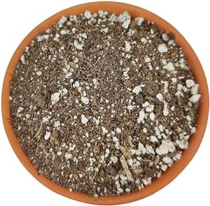 Succulent Potting Soil | Organic Cactus and Succulent Soil Mix (1 quart)