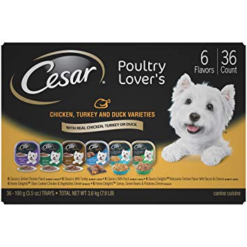 Cesar Gourmet Wet Dog Food Variety Packs - 36 Trays