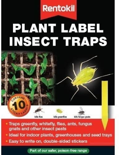 Rentokil Plant Pot Fly Sticker Labels 8pk (382328)