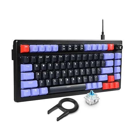 Kreo Hive Anti-ghosting Gaming Keyboard | 75% Tenkeyless Wired Mechanical Keyboard with White LED Backlight Blue Switches & 3 Colour Key Caps | Detachable USB C Cable