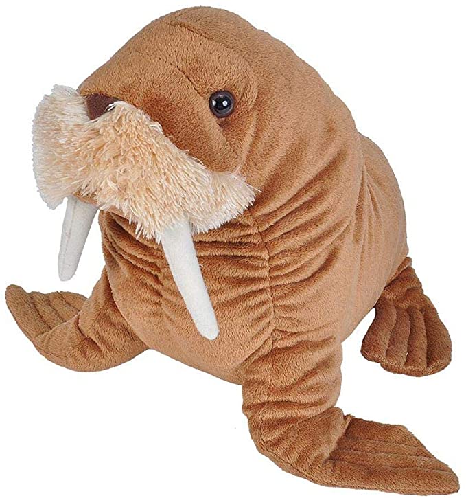 Wild Republic 22488 Walrus Plush, Stuffed Animal, Plush Toy, Gifts for Kids, Cuddlekin, Size 12