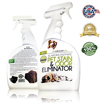 Life Miracle Pet Stain Remover, Odor Eliminator Neutralizer - Natural Enzymes Upholstery Carpet & Rug Stain Cleaner - Dog and Cat Urine Smell. 32oz Spray