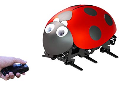 Toptrend Intelligent Robot Ladybug RC Cars Toys-DIY Radio Control Bionic Insect Toy 2.4GHz wireless remote Control With Rechargable Battery