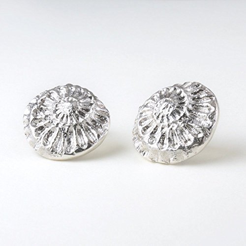 11/16" Ammonite Fossil Earrings, Bright Silver