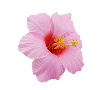 Hawaiian Hibiscus Flower Hair Clip (Pink)