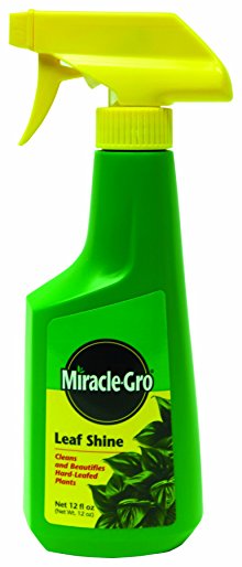 Miracle-Gro 100540 Leaf Shine Ready-to-Use Spray, 12-Ounce  (Older Model)