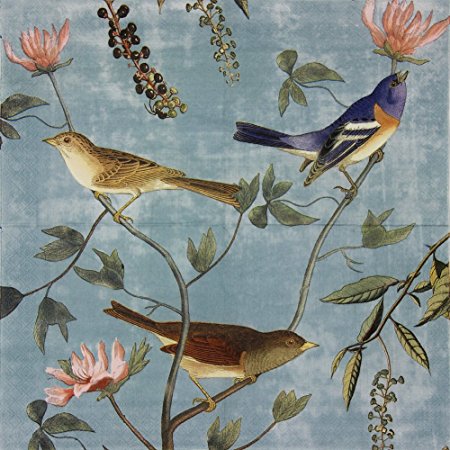 Paper Napkins, Alink Luncheon Party Napkins Serviettes Printed Birds 20 Count 2-Ply, 13 x 13 Inch