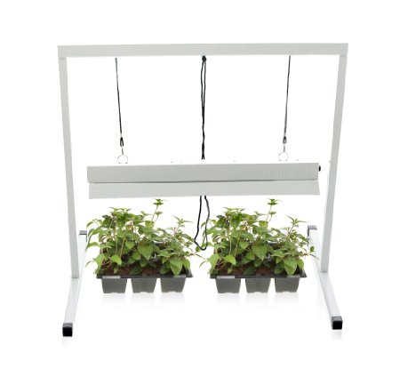 Milliard 2-Foot Plant Starter 2 Bulb T5 Grow Light System - 24W - Bulbs Included