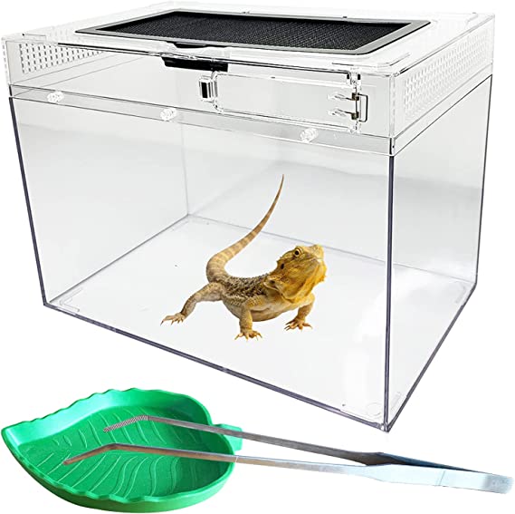 kathson Reptile Feeding Box Lizard Tank Enclosure Hermit Crab Habitat Reptile Terrarium with Tweezer Bowl for Frog Spider Gecko Tarantulas