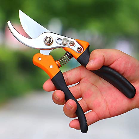 N / A Pruning Shears, Hand Pruner with Stainless SK5 Steel Blades 8.6" Tree Trimmers Secateurs, Garden Shears Tools, Clippers for The Garden-Black