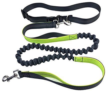 Cocopa Hands Free Dog Leash for Running, Walking, Hiking Dog Leash with Dual Bungees – Adjustable Waist Belt -(Fits From 28" to 47'' waist)