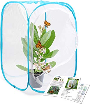 RESTCLOUD Insect and Butterfly Habitat Cage Terrarium Pop-up 24 Inches Tall