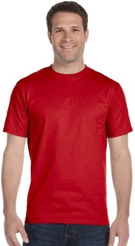 Gildan Men's DryBlend T-Shirt, Style G8000, 2-Pack