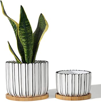 POTEY 057401 Cement Planter Pots - 5.7   4.7 Inch Indoor Concrete Planters Bonsai Containers with Drainage Hole & Bamboo Saucer for Plants Succulent Cactus Flowers (Set of 2, Plants NOT Included)