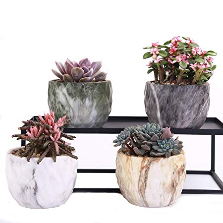 winemana Set of 4 Modern Style Marbling Ceramic Flower Pot Succulent Cactus Bonsai Planter Pots Container (Marbling Container)