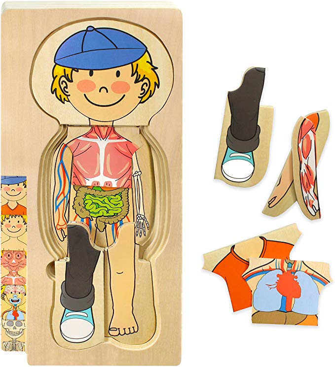 Kidzlane Wooden My Body Puzzle for Toddlers & Kids - 29 Piece Boys Anatomy Play Set Ages 3