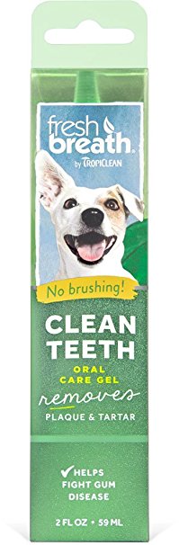 Fresh Breath Clean Teeth Oral Care Gel, 2oz