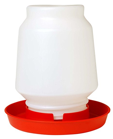 Little Giant 1-Gallon Plastic Poultry Fount Complete Waterer with 750 Red Base