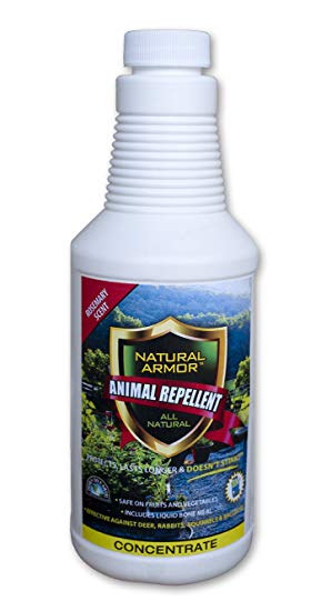 Repellent Spray for Rodents & Animals. Cats, Rats, Squirrels, Mouse & Deer. Repeller & Deterrent for Dogs, Critters, Mice, Raccoon & Skunk. Natural Armor Rosemaryt Pint Concentrate