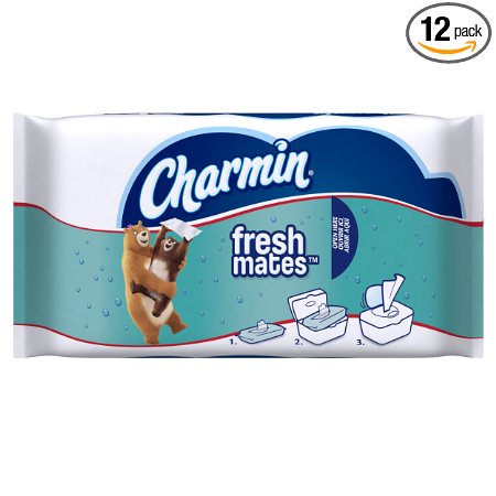 Charmin Freshmates Flushable Wipes, 40 Count (Pack of 12)