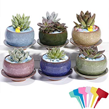Casolly Ceramic Colorful Ice Crack Succulent Pots Flower Pot with Saucer/Tray Drainage Hole, 3.5 Inch- Pack of 6