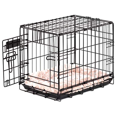 ProValu Single-Door Dog Crate in Black