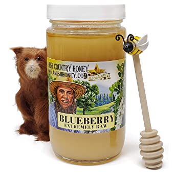 Goshen Honey Amish Extremely Raw BLUEBERRY Blossom Honey 100% Natural Honey Health Benefits Unfiltered OU Kosher Certified | 1 Lb Glass Jar