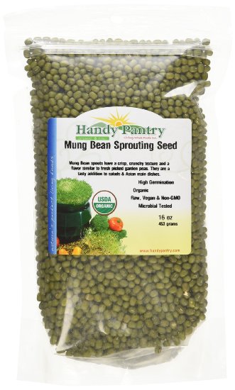 Mung Bean Sprouting Seed: 1 Lb - Organic, Non-GMO - Handy Pantry Brand - Dried Mung Beans for Sprouts, Garden Planting, Chinese & Asian Cooking, Soup & More