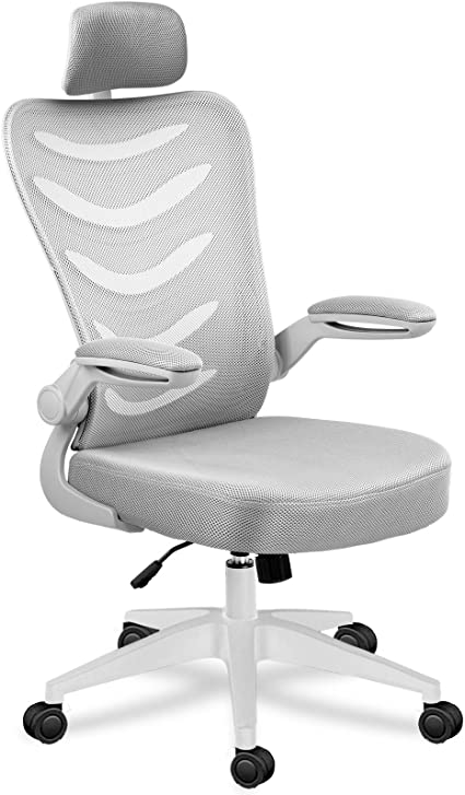 Ergonomic Office Desk Computer Chair Mesh Computer Chair with Flip Up Arms and Adjustable Headrest Lumbar Support Gray