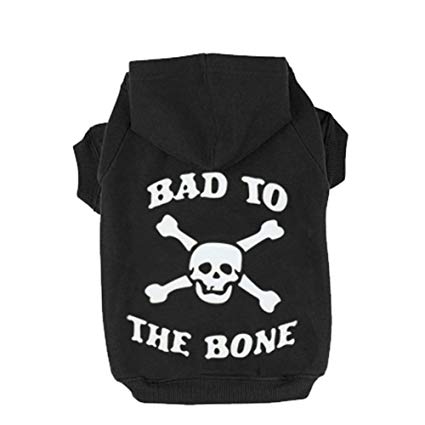 EXPAWLORER Bad to The Bone Printed Skull Cat Fleece Sweatshirt Dog Hoodies