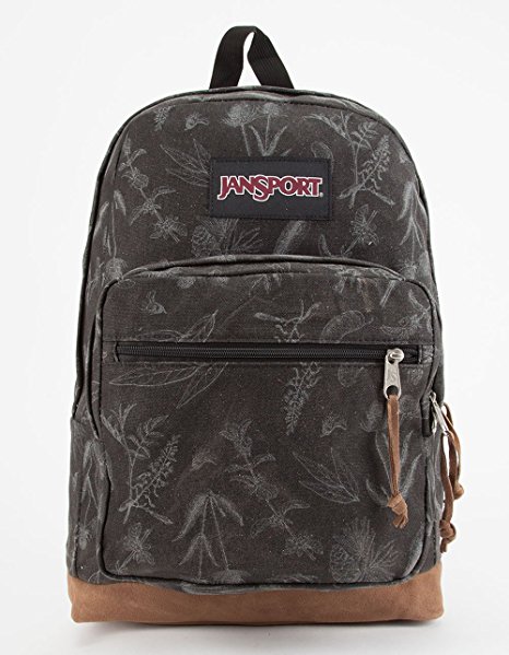 JanSport Right Pack Expressions