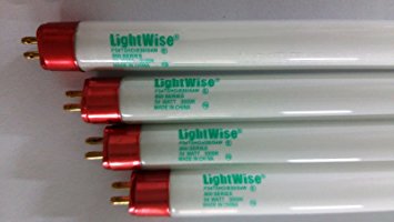 Lightingwise 2 FT 6500K T5 HO Fluorescent Grow Light Bulbs - Pack of 1,4,8,20,40 (4, 3000k - red - bloom)