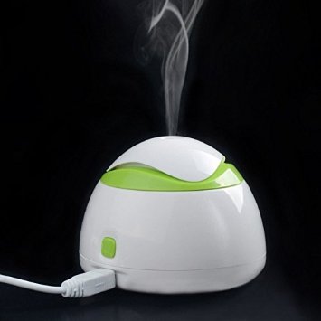 Lily's Gift USB Ultrasonic Mute Humidifier Diffuser Air Purifier Mist Maker
