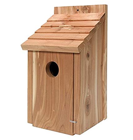 Gardirect Wild Bird Classic Nesting Box, Bird House for Blue Tit, Sparrow (Cedar)