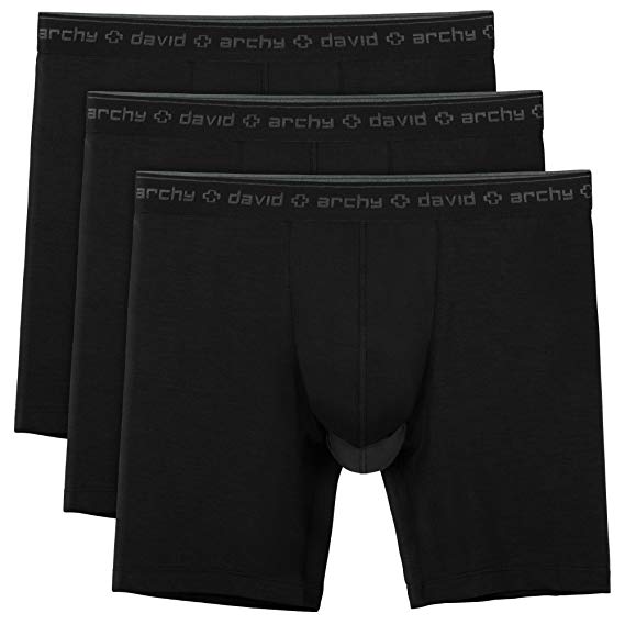 David Archy 3 Pack Men's Underwear Separate Pouches Micro Modal Boxer Briefs with Fly
