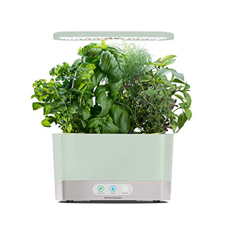 AeroGarden 901107-1200 Harvest-Sage Indoor Garden, 2019 Model