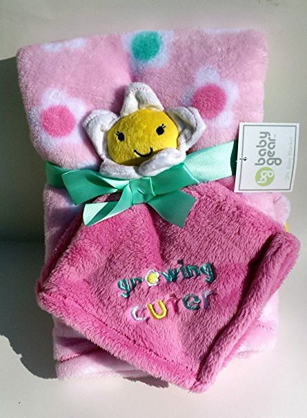 Baby Gear 2 Piece Pink Flowers Blanket and Security Blanket