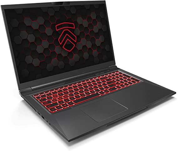 Matrix RP-17 Ultra Performance Gaming Laptop PC: AMD Ryzen 4800H 8-Core CPU NVIDIA GeForce RTX 2060 Graphics 17.3" 144Hz Full HD 1TB NVMe SSD   16GB 3200MHz RAM - Eluktronics Covert Gamer Notebook