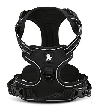 Kismaple Adjustable 3M Refletive Dog Harness, Soft Padded No Pull Outdoor Training/Walking Pet Vest with Handle, Puppy Chest Vest Harness for Small Dogs (S (43-56cm), Black)