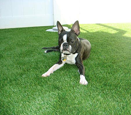 Artificial lawn 3.3‘ x 5' Artificial Grass Indoor Outdoor Landscape Pet Dog Area, Green