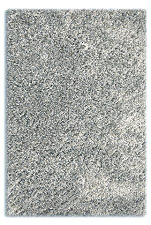 Sultansville Colorville Collection High, Pile Soft Shag Area Rug, Silver