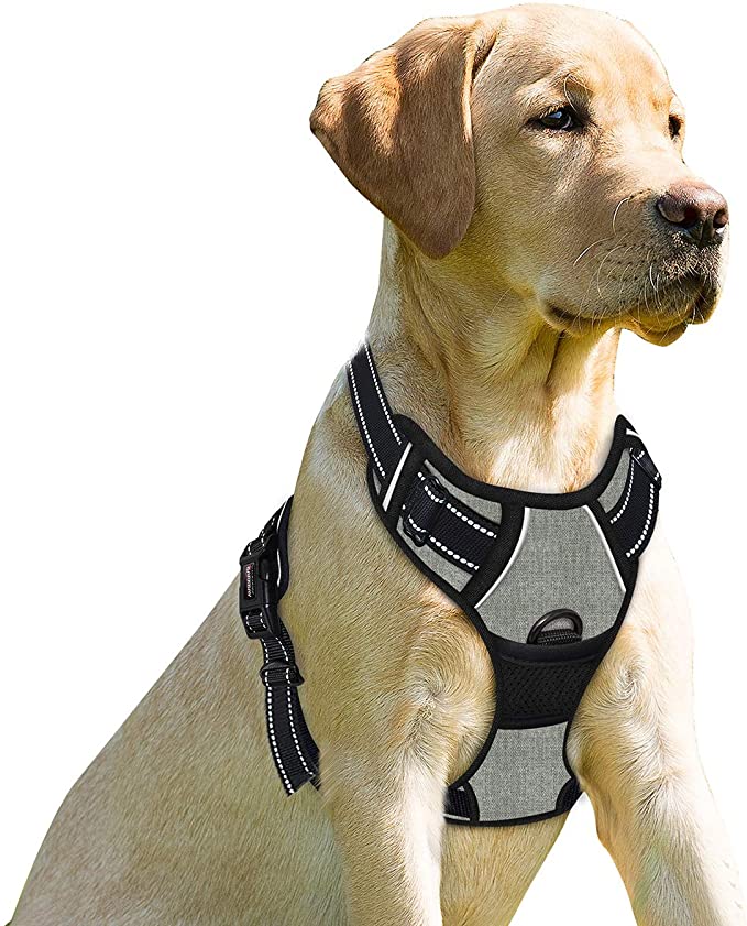 BARKBAY No Pull Dog Harness Front Clip Heavy Duty Reflective Easy Control Handle for Large Dog Walking(Flint Gray,M)