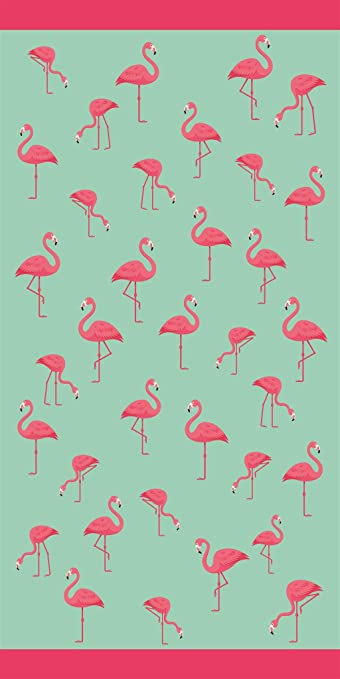 Multi Flamingos Velour Brazilian Beach Towel 30x60 Inches