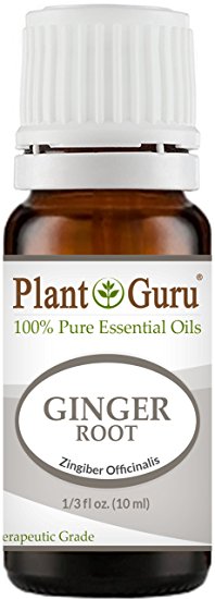 Fresh Ginger (Root) Essential Oil 10 ml. 100% Pure Undiluted Therapeutic Grade.